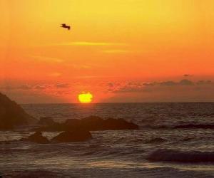 yapboz Sunrise denizde